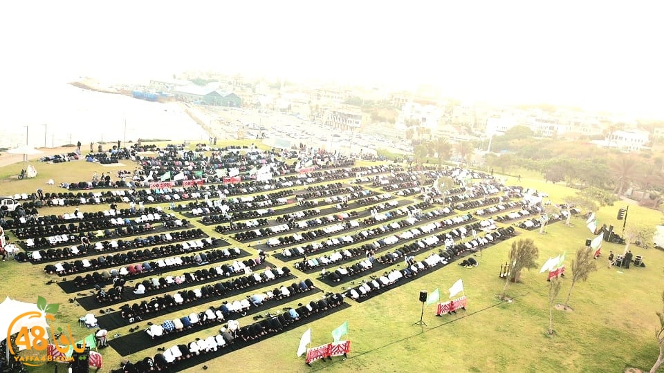 WhatsApp Image 2023-06-28 at 11.33.46 AM (1).jpeg